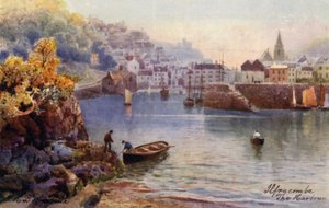 De Haven, Ilfracombe