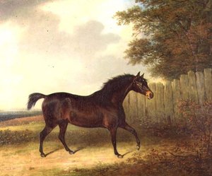 Een donkerbruine hengst in een landschap door Henry Bernard Chalon