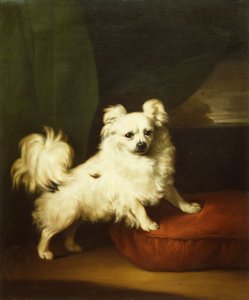 Haar Favoriet, Een Witte Papillon op een Kussen door Henry Bernard Chalon