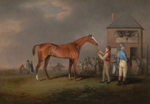 Quiz, na zijn laatste race in Newmarket door Henry Bernard Chalon