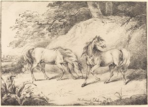Wilde paarden