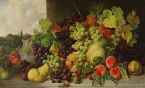 Studie uit de natuur
