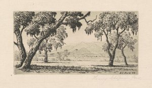 Californisch landschap