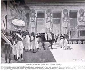 Cambyses doodt de Heilige Stier, illustratie uit 