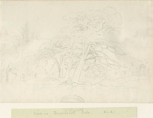 Beaudesert Park: potloodtekening, nd [1788-1855]
