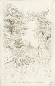 Lichfield Kathedraal - Zuidoostaanzicht (veraf)
