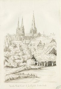 Lichfield Kathedraal - Zuidwest Uitzicht