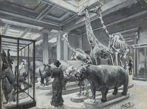 Interieur van het British Museum met de galerij met dierententoonstellingen, ca. 1880 door Henry Edward Tidmarsh