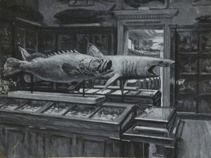 Interieur van het British Museum met de galerij van visexposities, ca. 1880