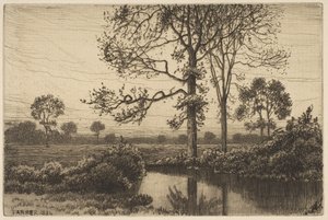 Herfsts grijs en melancholisch