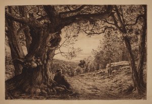  door Henry Farrer