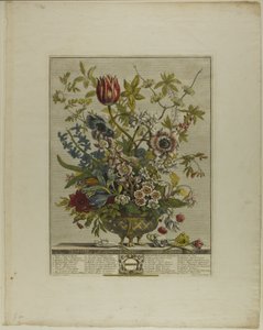 Februari, uit Twaalf Maanden van Bloemen door Henry Fletcher