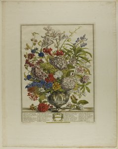 Juli, uit Twaalf Maanden Bloemen door Henry Fletcher