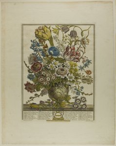 Maart, uit Twaalf Maanden van Bloemen door Henry Fletcher