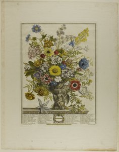November, uit Twaalf maanden bloemen door Henry Fletcher