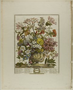 Oktober, uit Twaalf Maanden van Bloemen door Henry Fletcher