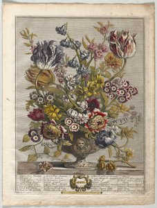 Twaalf maanden bloemen: april, 1730