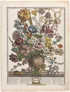 Twaalf Maanden Bloemen: Maart