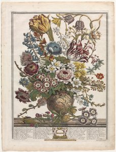 Twaalf maanden bloemen: maart, 1730