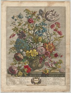 Twaalf Maanden van Bloemen: Mei