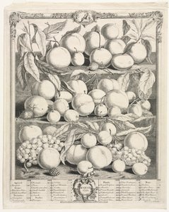 Twaalf maanden van fruit: augustus