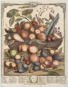 Twaalf maanden fruit: juli, 1732