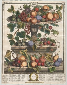 Twaalf maanden fruit: Juni