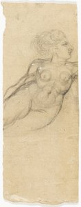 Studies van naakten
