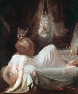 De nachtmerrie