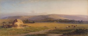 Weiden van South Downs, 1867