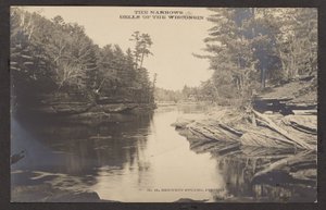 De Narrows Dells van de Wisconsin door Henry Hamilton Bennett