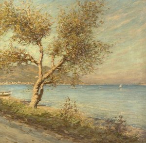 De Moerbeiboom