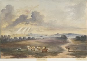 Cannock Chase - "Heide": aquarel