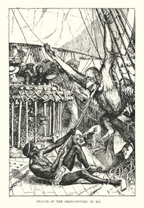 De schrik van de orang-oetang in Sai door Henry Justice Ford