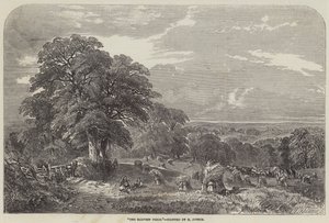 Het Oogstveld door Henry Jutsum