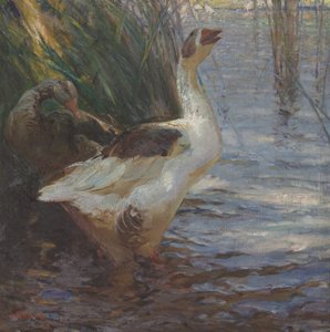 Verstoord door Henry Keller