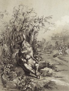 De Fabels van Aesopus: De Haas en de Schildpad