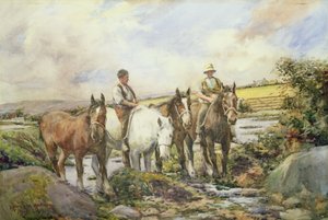 Paarden drinken water