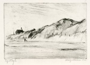 Duinlandschap met Huis en Persoon