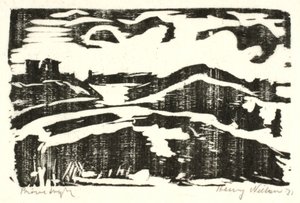 Landschap met heuvels
