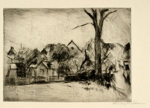 Landschap met hoge boom en huizen