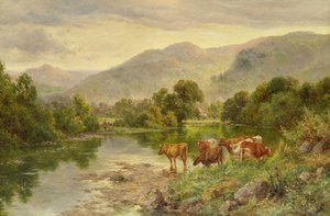 Kerkvijver, Bettws-y-coed