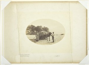 Op de Hellingen van Cader-Idris, De Laatste Lading Hooi