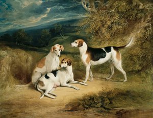 De honden van de hertog van Rutland met Belvoir Castle in de verte door Henry Perlee Parker