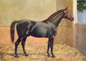 Yorkshire Coach Horse hengst Crown Prince door Henry Powell Palfrey