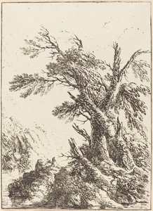 Landschap met Oude Bomen bij Water