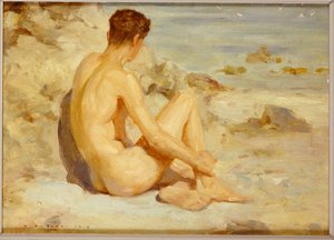 Jongen op een strand
