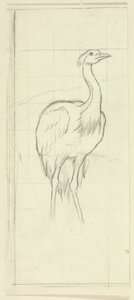 Staande vogel