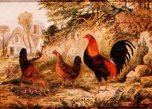 Haan, Hennen en Kuikens door Henry Thomas Alken