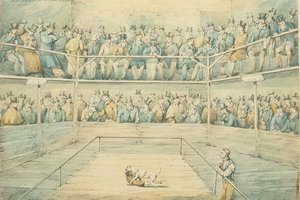 Hondengevecht bij de Westminster Pitt door Henry Thomas Alken